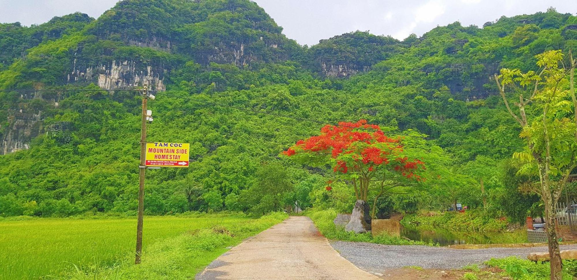 Tam Coc Moutainside Homestay Ninh Bình Exteriör bild