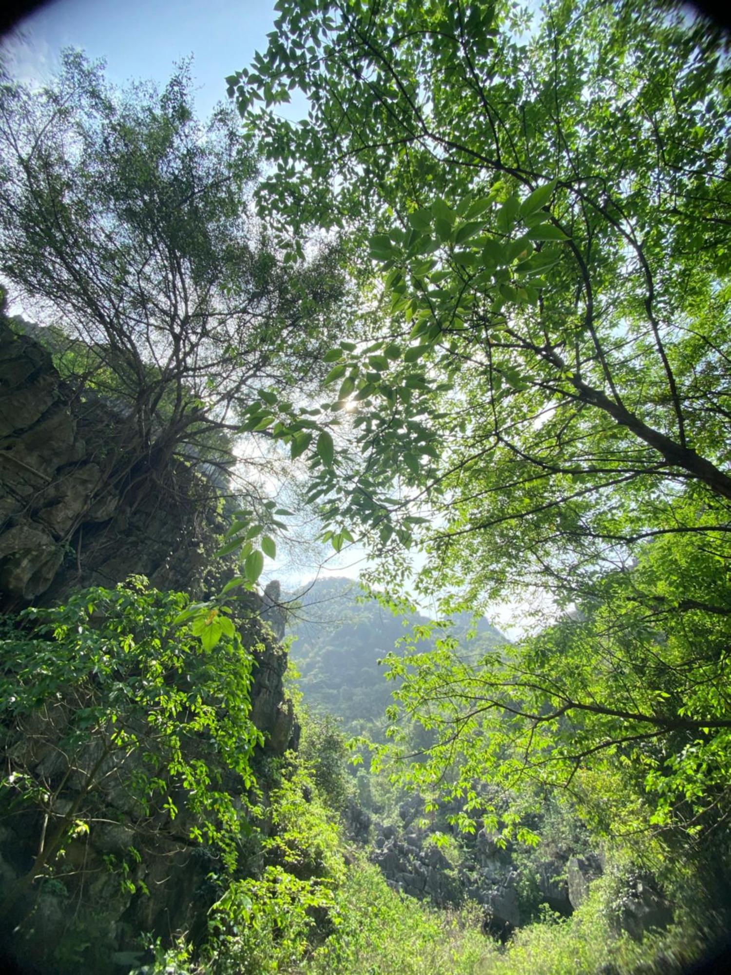 Tam Coc Moutainside Homestay Ninh Bình Exteriör bild